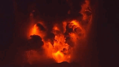 Creepy Facts (15 gifs) Creepy Facts (15 gifs)
