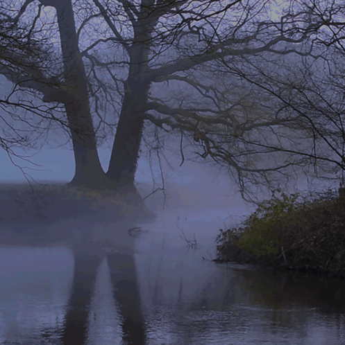 Creepy Facts (15 gifs) Creepy Facts (15 gifs)