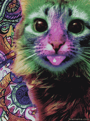 Random Knowledge (15 gifs) Random Knowledge (15 gifs)