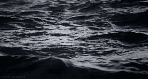 Creepy Facts (15 gifs) Creepy Facts (15 gifs)