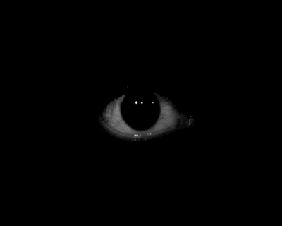 Creepy Facts (15 gifs) Creepy Facts (15 gifs)