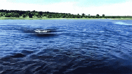 Creepy Facts (15 gifs) Creepy Facts (15 gifs)