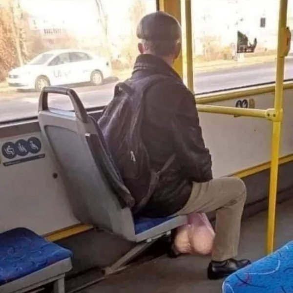 What Is Going On Here? (29 pics)