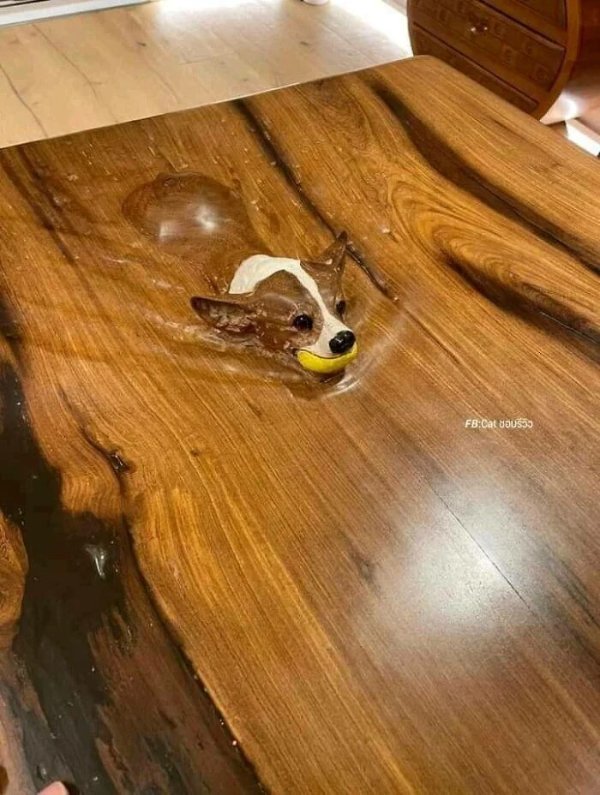 What Is Going On Here? (29 pics)