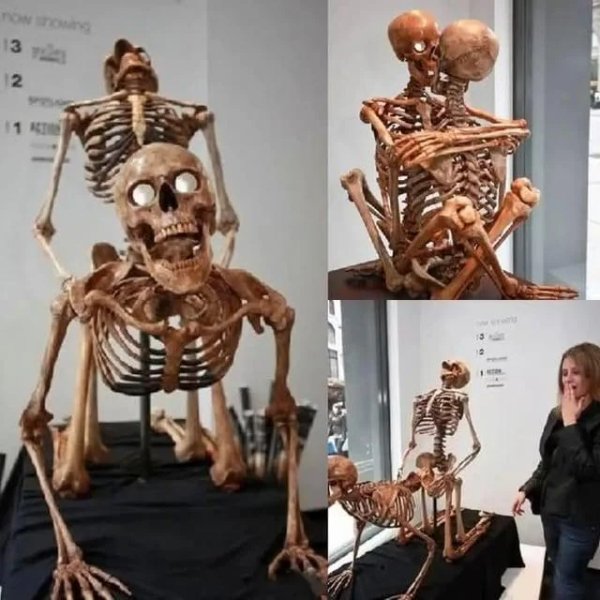 What Is Going On Here? (29 pics)