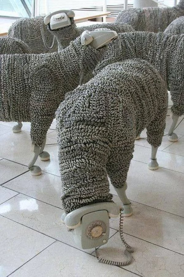 What Is Going On Here? (29 pics)