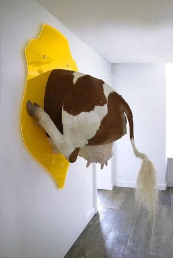 Odd Designs (23 pics)