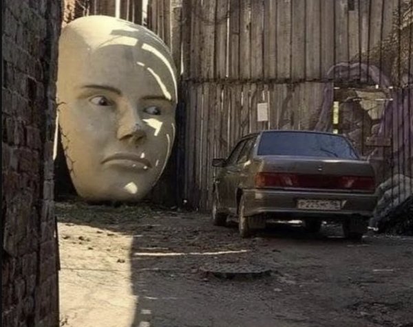 What Is Going On Here? (29 pics)