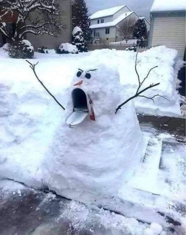 What Is Going On Here? (29 pics)