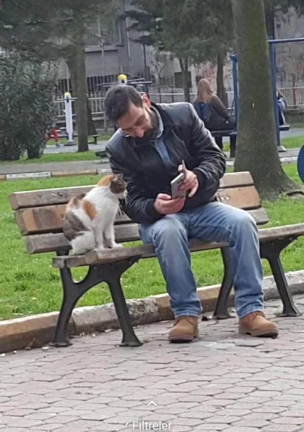 What Is Going On Here? (29 pics)