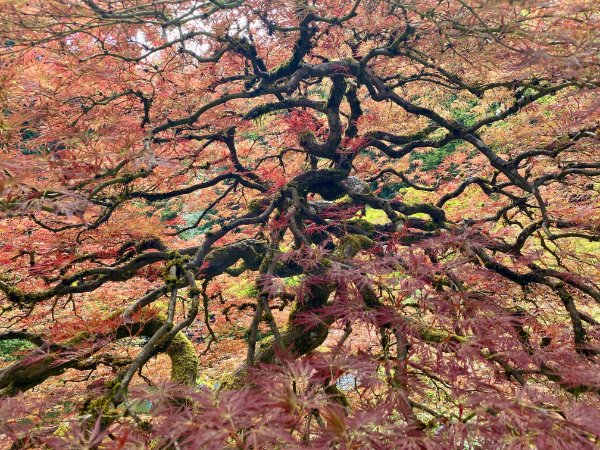 Photos For Perfectionists (24 pics)