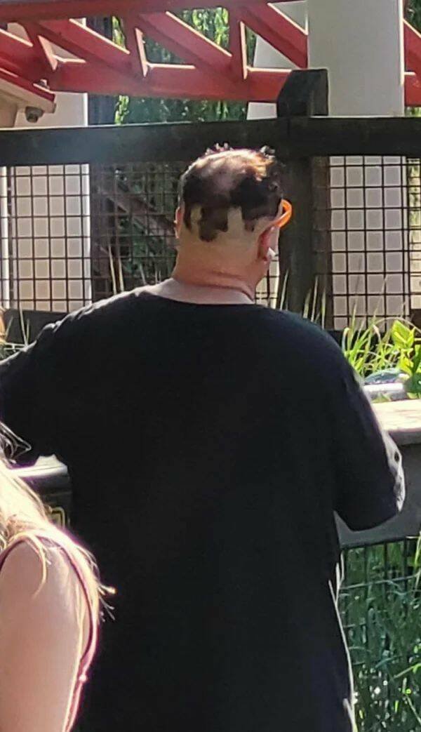 Awful Haircuts (26 pics)