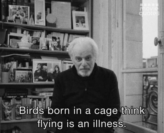 Memorable Movie Quotes (19 pics)