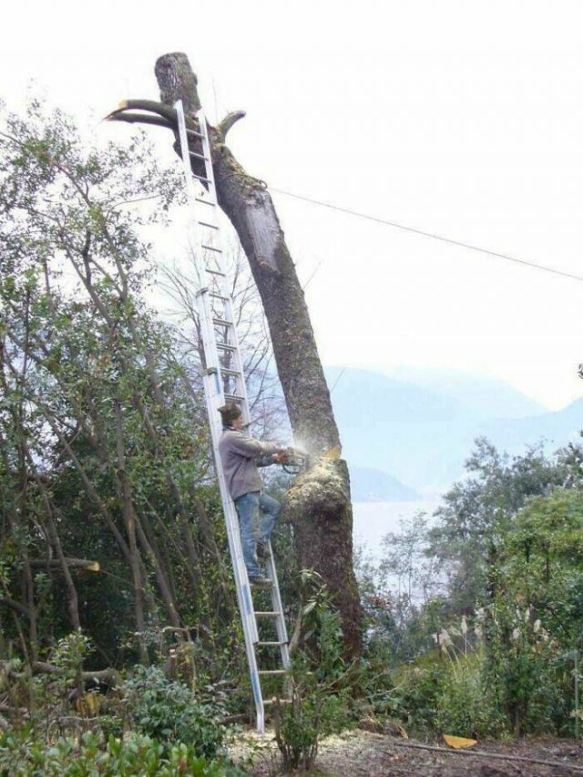 They Don't Think About Safety (19 pics)