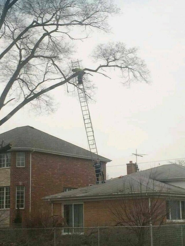 They Don't Think About Safety (19 pics)