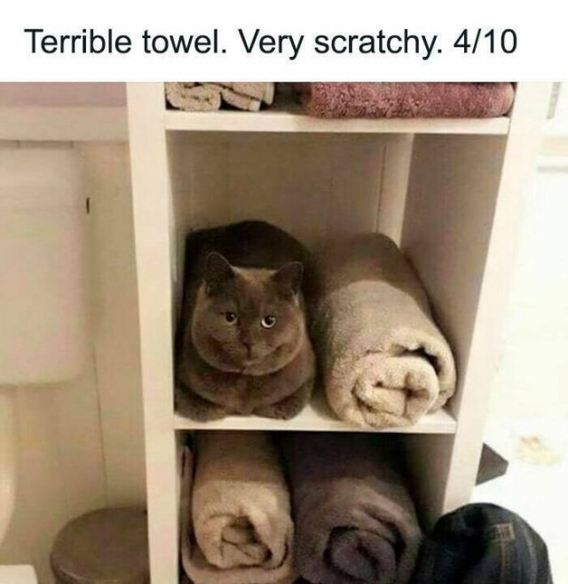 Funny Memes (24 pics)