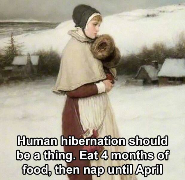 Classical Memes (24 pics)