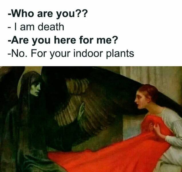 Classical Memes (24 pics)