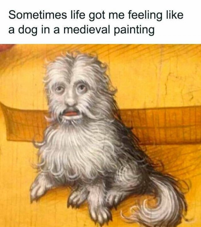 Classical Memes (24 pics)