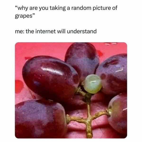 Funny Memes (24 pics)