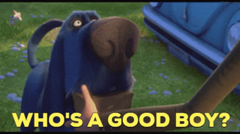 Random Facts (15 gifs) Random Facts (15 gifs)