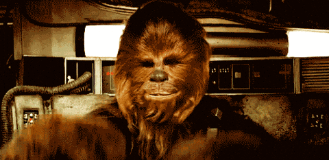 Random Facts (15 gifs) Random Facts (15 gifs)