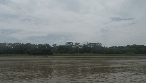 Random Facts (15 gifs) Random Facts (15 gifs)