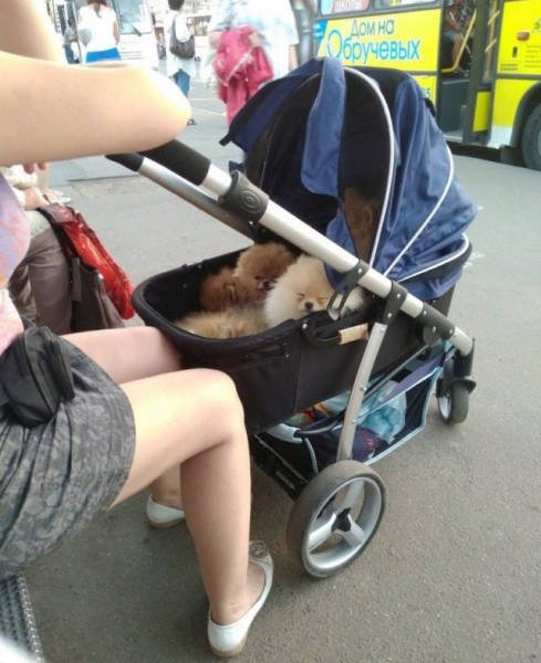 Strange Russians (40 pics)