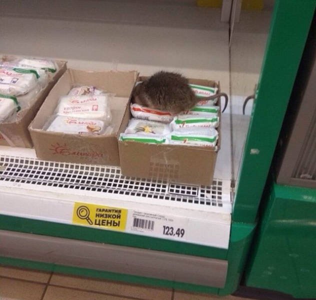 Strange Russians (40 pics)