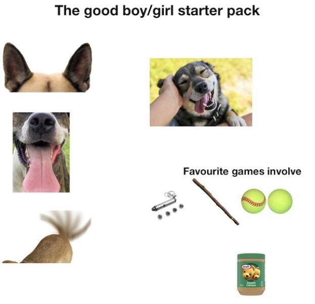 Hilarious Starter Kits (25 pics)