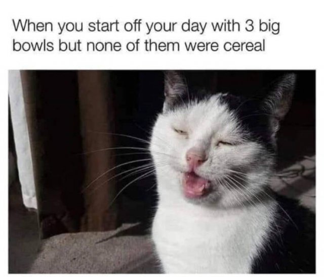 Funny Memes (21 pics)