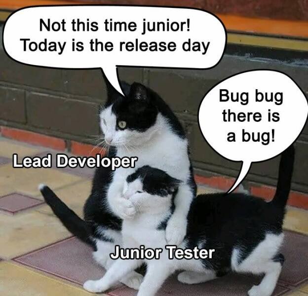Memes For Programmers (15 pics)