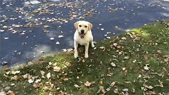 Weird Thoughts (15 gifs) Weird Thoughts (15 gifs)
