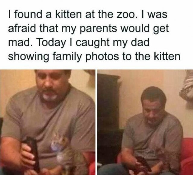 Heartwarming Moments (23 pics)