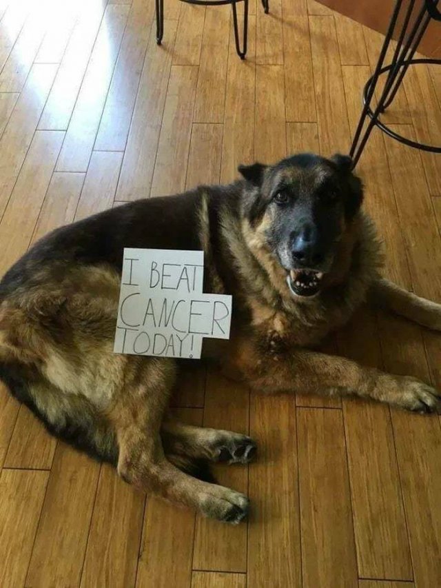 Heartwarming Moments (23 pics)