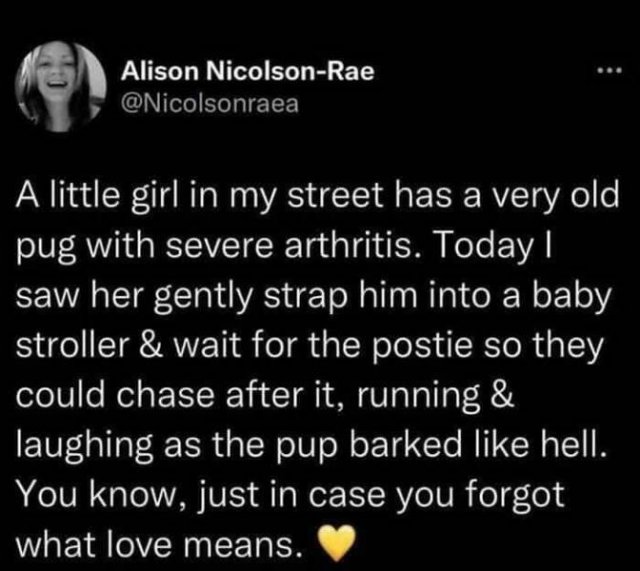 Heartwarming Moments (23 pics)