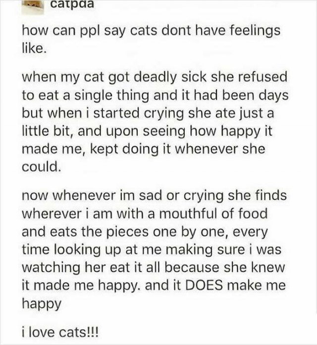 Heartwarming Moments (23 pics)