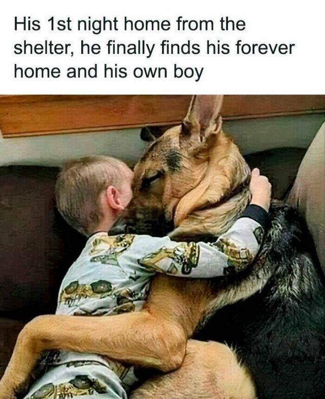 Heartwarming Moments (23 pics)