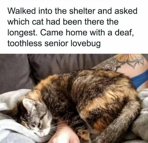 Heartwarming Moments (23 pics)