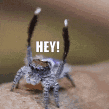 Odd Thoughts (15 gifs) Odd Thoughts (15 gifs)