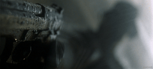2025 Movie Anniversaries (18 gifs) 2025 Movie Anniversaries (18 gifs)