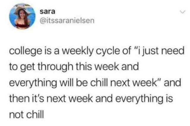 Memes About Student Life (26 pics)
