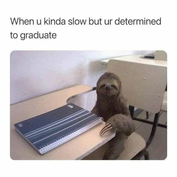 Memes About Student Life (26 pics)