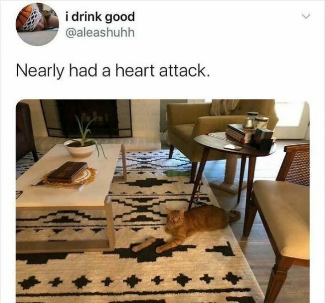 Random Memes (24 pics)
