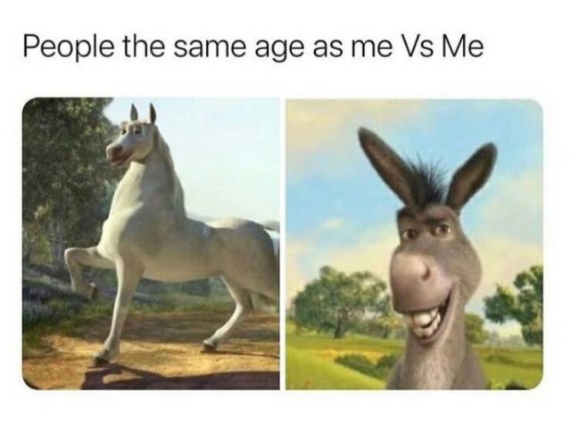 Random Memes (24 pics)