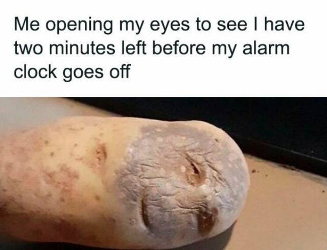 Random Memes (24 pics)