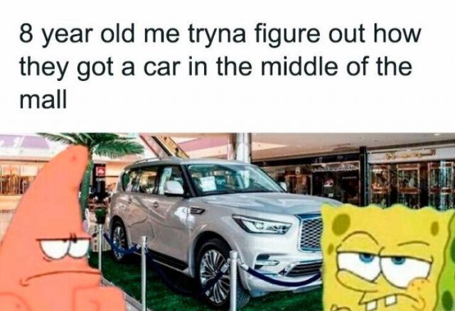 Random Memes (24 pics)