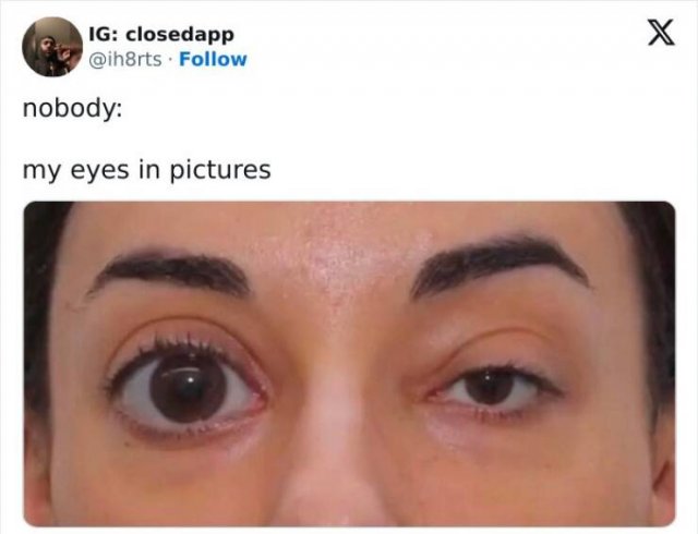 Random Memes (24 pics)