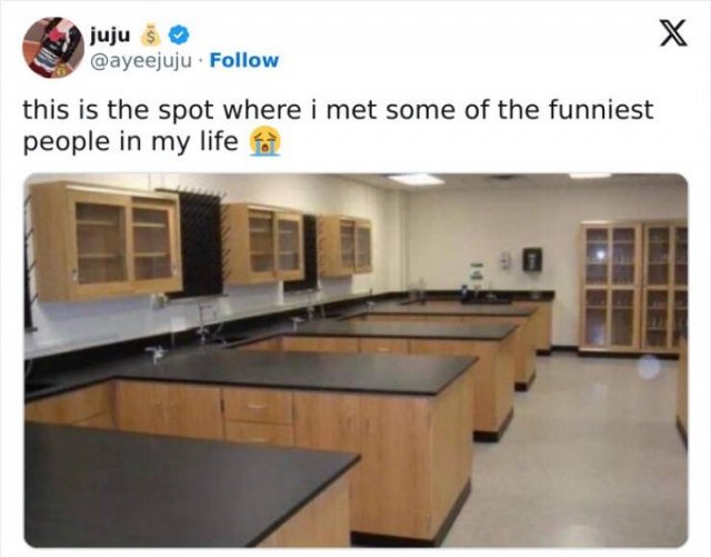 Random Memes (24 pics)