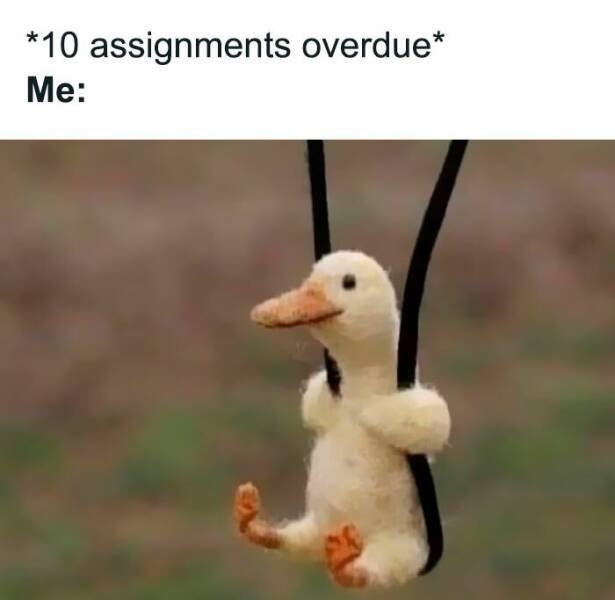 Random Memes (24 pics)